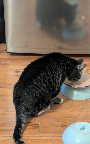 PXL_20250324_055657692