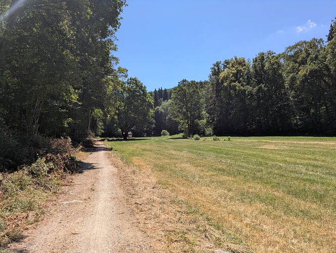 PXL_20260712_103420554