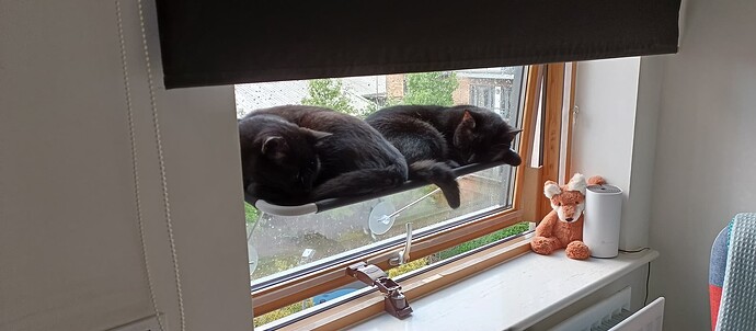 IMG_20240908_070831_189