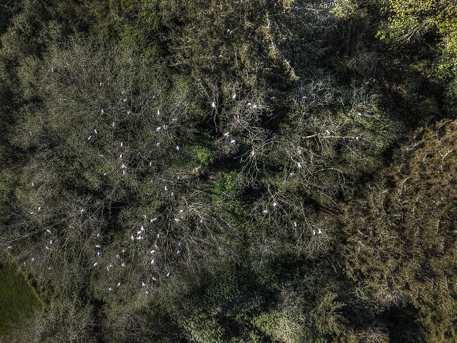 DJI_20260413174101_0518_D_19_D_20_D_21_D_22_D_23_D_24_D_Enhancer