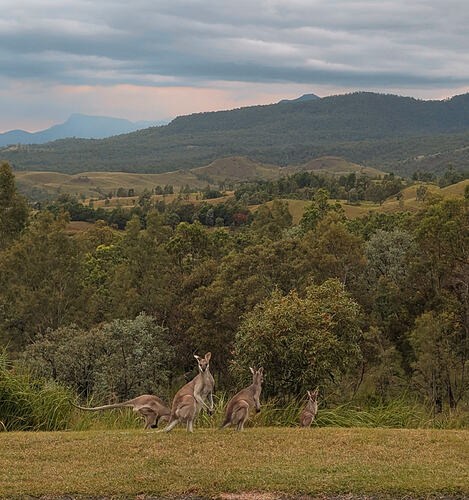 PXL_20260318_070638389~2