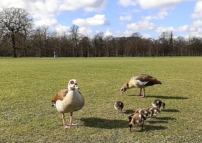 IMG_20250316_095536_910~2