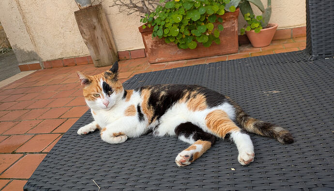 PXL_20260308_095332292