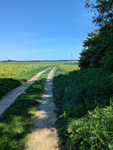 PXL_20260525_105149423