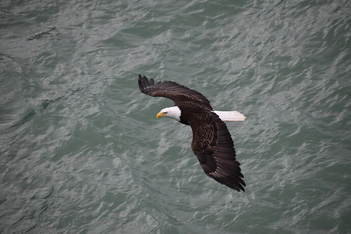 DSC_0178_Original