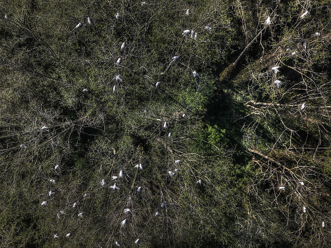 DJI_20260413174128_0532_D_3_D_4_D_5_D_6_D_7_D_8_D_Enhancer