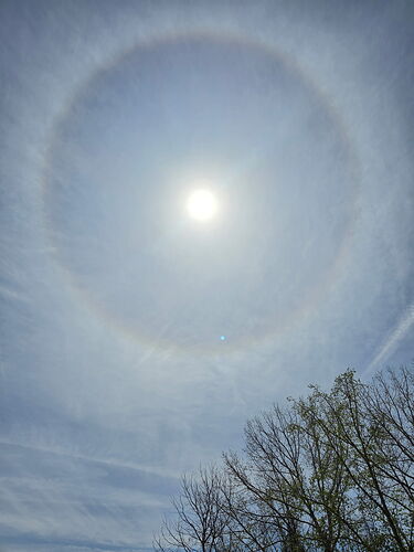 IMG_20260512_144428