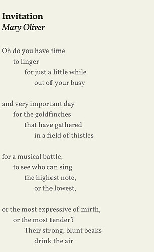 poem-invitation-by-mary-oliver-v0-b9yjbempdckd1