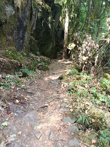 IMG_20260816_124341