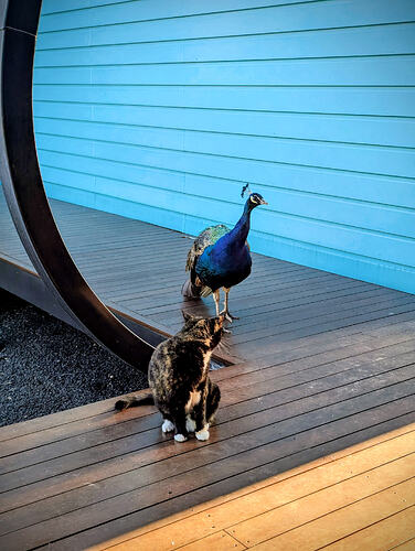 PXL_20260324_220615054~2