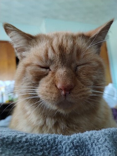 IMG_20250209_165208825