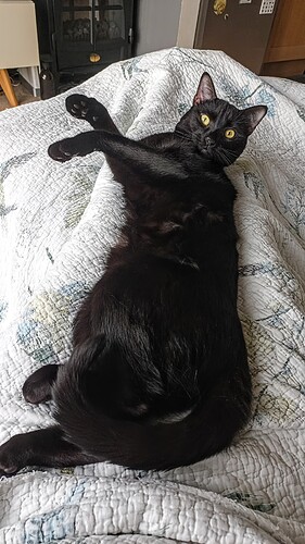 IMG_20250314_160235_836~2