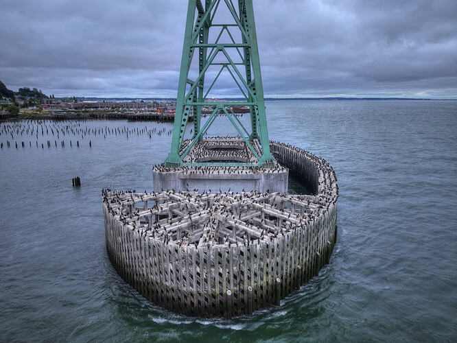 DJI_20260731205737_0106_DAnd6more_Enhancer
