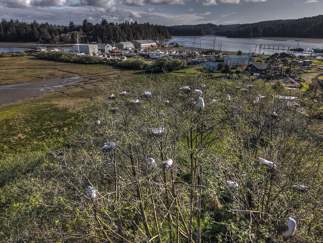 DJI_20260413173904_0489_D_90_D_91_D_92_D_93_D_94_D_95_D_Enhancer