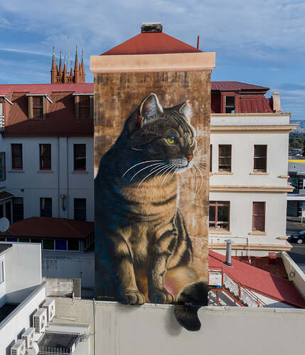 Mural cat Palmerston North_104811