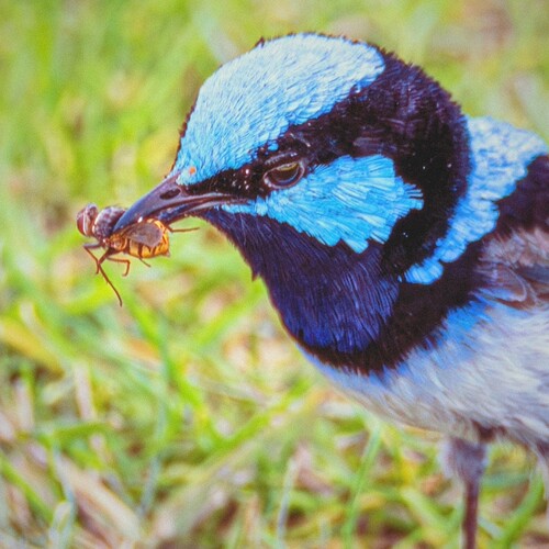 IMG_20251228_180842_853