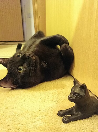 IMG_20250212_171648_412~2