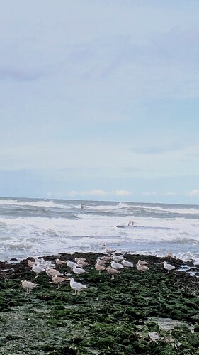 PXL_20250917_090224924~3