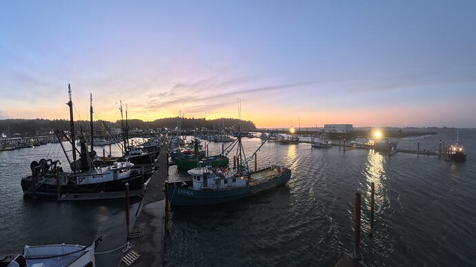 VID_20260227_120740_00_015_024_2026-03-01_10-36-59_screenshot