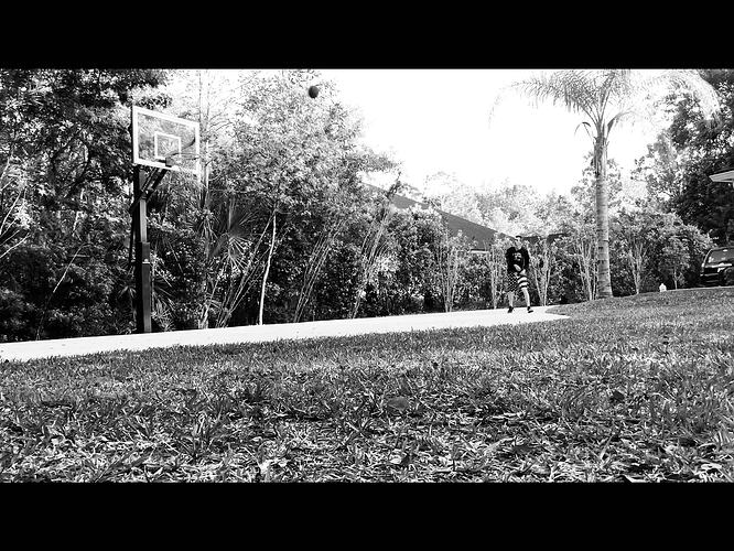 IMG_0600