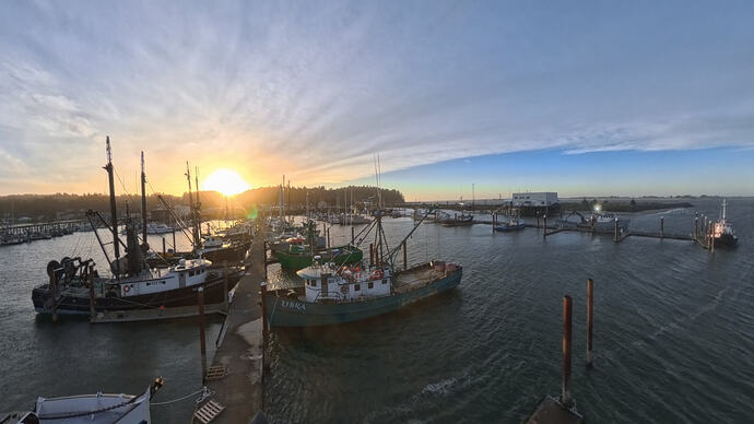 VID_20260227_120740_00_015_024_2026-03-01_10-34-53_screenshot