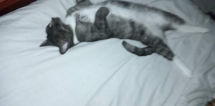 received_1152620915334961