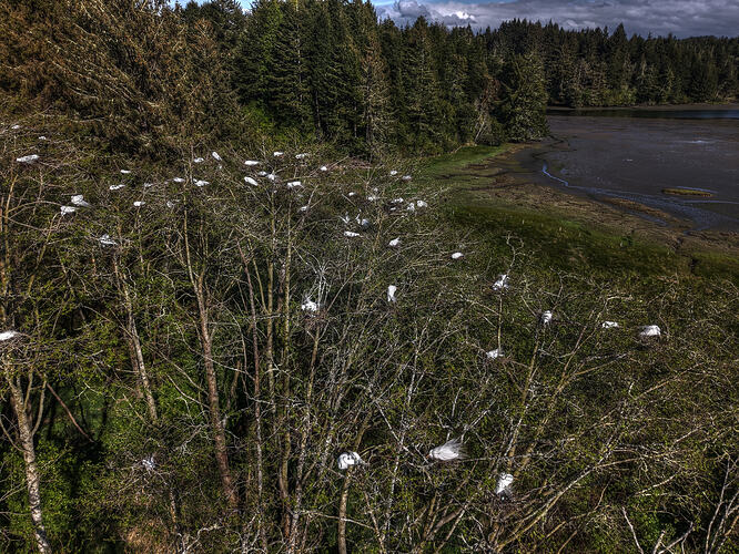 DJI_20260413165414_0127_D_28_D_29_D_30_D_31_D_32_D_33_D_Enhancer