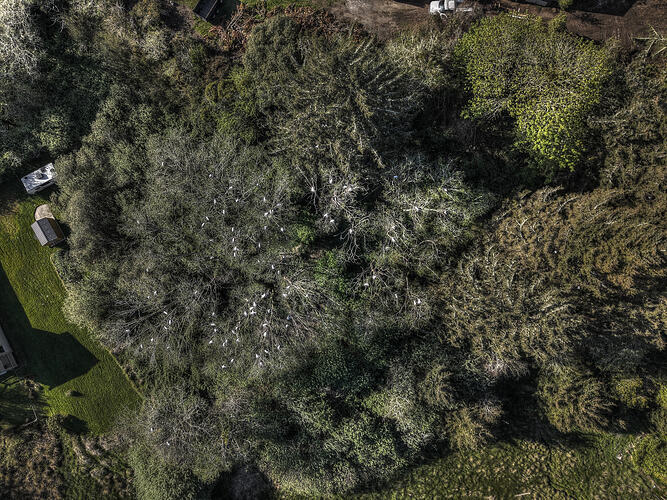 DJI_20260413174048_0511_D_2_D_3_D_4_D_5_D_6_D_7_D_Enhancer