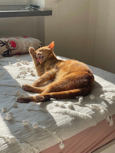 received_1152677332987322