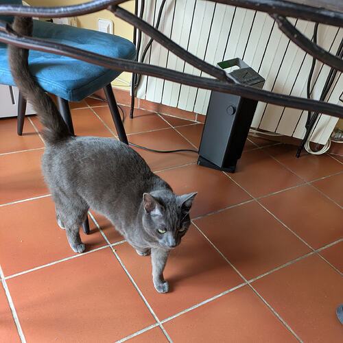 PXL_20260308_102826461