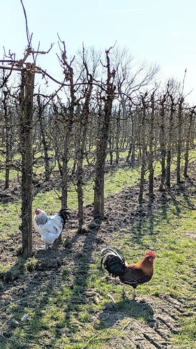 PXL_20250309_104955039~2