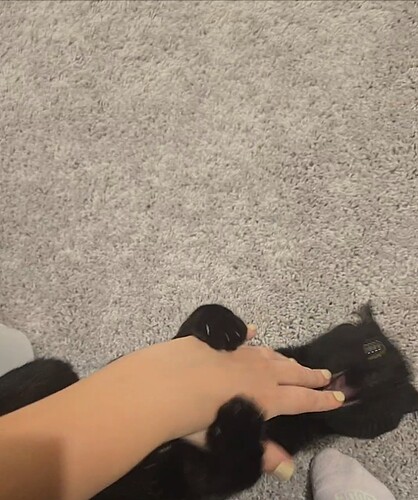 Screenshot_20250208_160627_Gallery