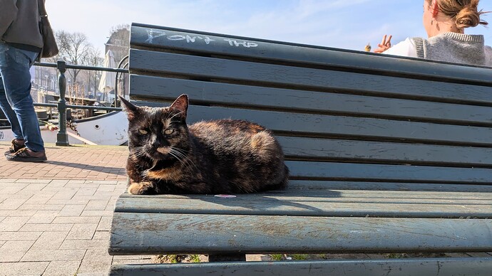 PXL_20250309_120018758~2