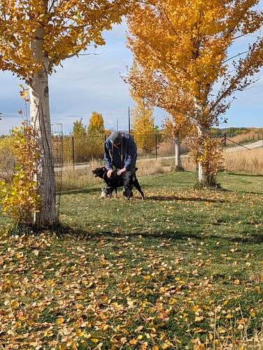 PXL_20251013_171858674