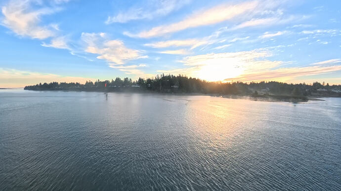 VID_20260226_164815_00_004_038_2026-02-28_03-49-56_screenshot