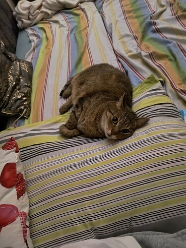 IMG_20250731_000830360