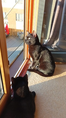 IMG_20250326_171315_693