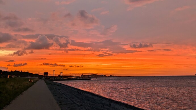 PXL_20250917_050845714~2