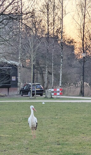 PXL_20250308_171456067~2