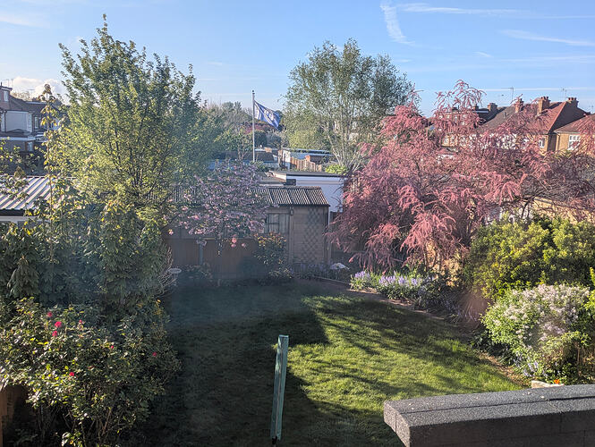 PXL_20260420_070933749