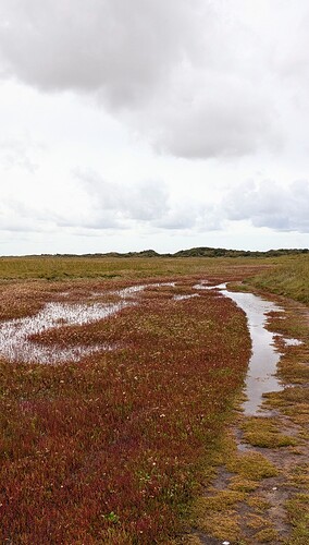 PXL_20250917_074222522~2