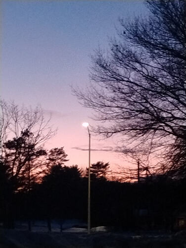 IMG_20260215_174312159