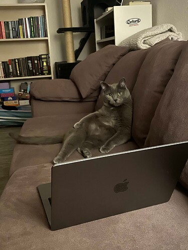 Messenger_creation_1298707134742793