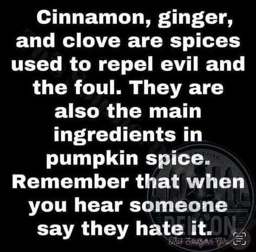 553484539_1574794350599875_8894283894167778366_n