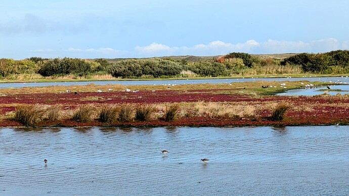 PXL_20250918_075019633~2