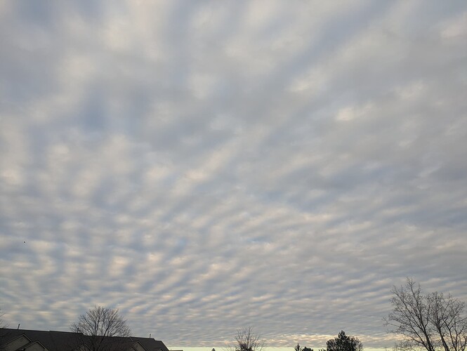 PXL_20251123_212139566