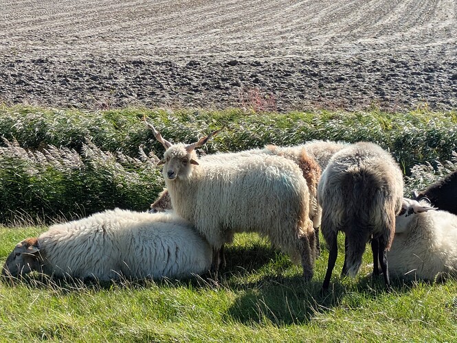 PXL_20250919_125106926