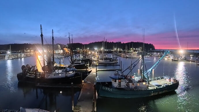 VID_20260226_164815_00_004_038_2026-02-28_03-24-53_screenshot