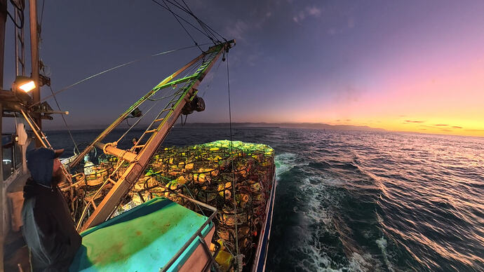 VID_20251212_165616_00_030_2026-02-21_09-03-39_screenshot