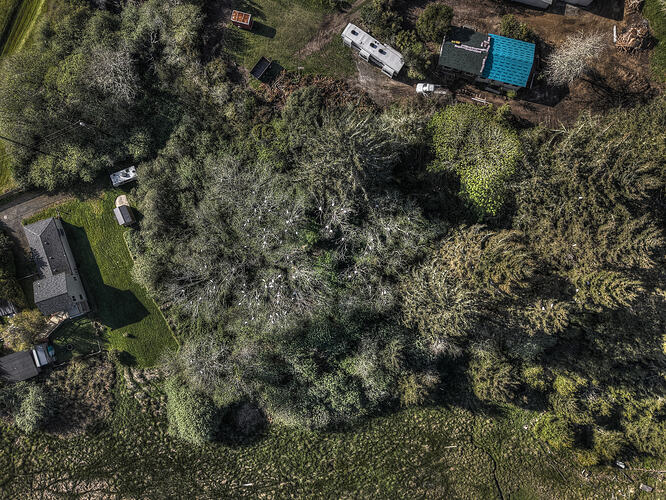 DJI_20260413174030_0504_D_05_D_06_D_07_D_08_D_09_D_10_D_Enhancer